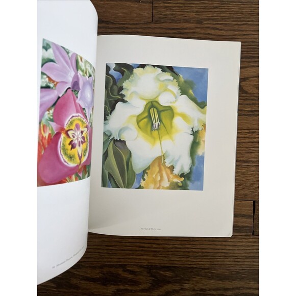Georgia O'Keeffe One Hundred Flowers 1989 First Paperback Edition Art Book - Picture 4 of 5